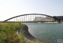 7分鐘煙火、8大燈區　「嘉義跨年燈會」19日登場