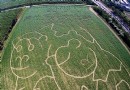 不是麥田圈，玉米迷宮、稻田迷宮闖關趣！