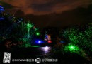 浪漫一夏 追逐阿裡山星空下的青春茶園