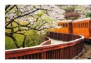 阿裡山咖啡豆