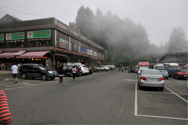 阿裡山旅游攻略圖片