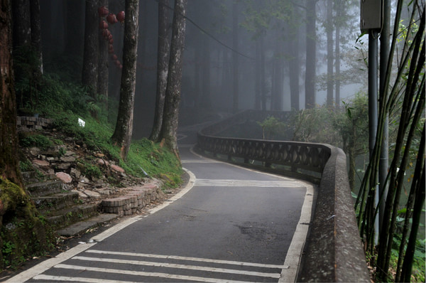 阿裡山旅游攻略圖片