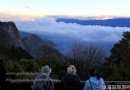 阿裡山，坐看雲起