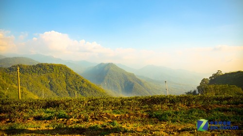 大C游世界 台灣阿裡山美艷環繞的群山