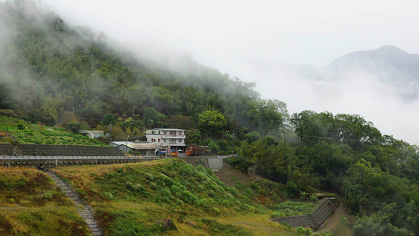 阿裡山景點圖片