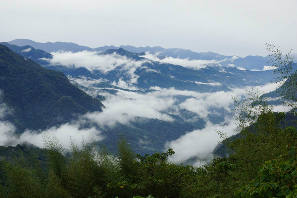 阿裡山景點圖片