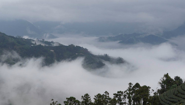 阿裡山景點圖片