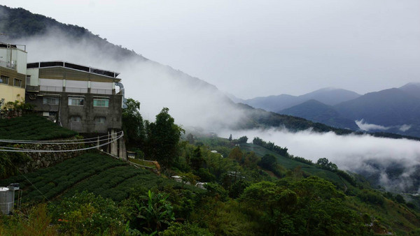 阿裡山景點圖片