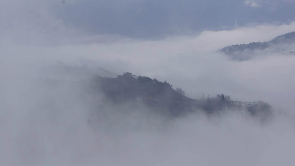 阿裡山旅游攻略圖片 阿裡山旅游攻略圖片