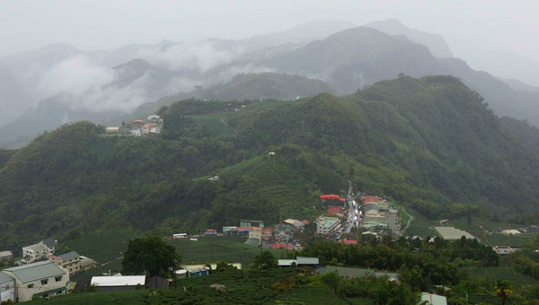 阿裡山圖片 阿裡山圖片