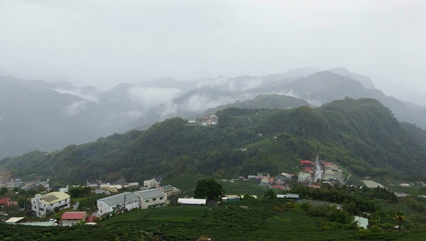 阿裡山自助游圖片 阿裡山自助游圖片