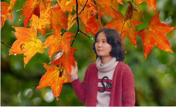 阿裡山自助游圖片 阿裡山自助游圖片
