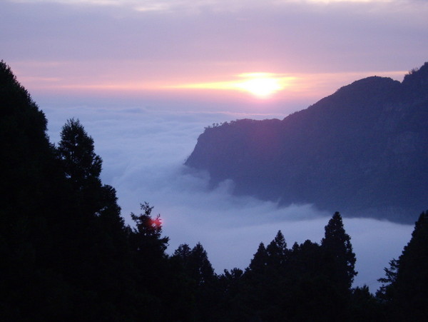 阿裡山景點圖片