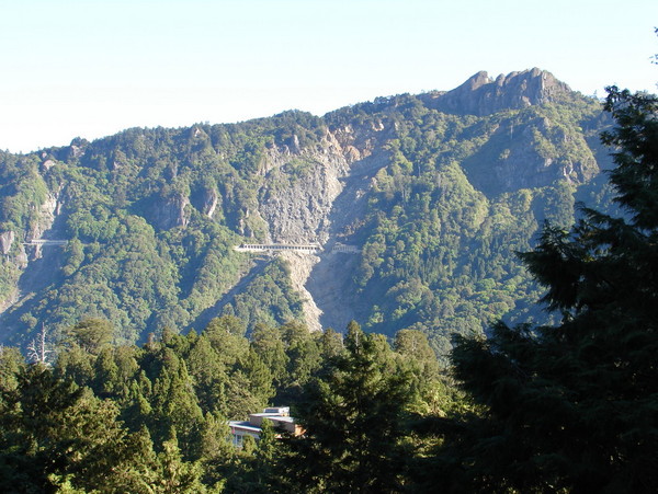 阿裡山景點圖片