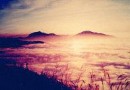 阿裡山游記：探尋阿裡山