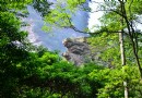雙龜探溪
