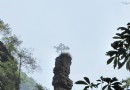 砂刀溝