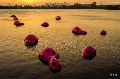 1472440866805269.jpg tumblr_inline_ocnhi6YHwY1twwsju_500.jpg