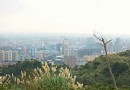 虎頭山公園櫻花步道部分區域暫停開放