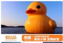 桃園小黃鴨賞鴨秘籍