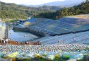 梵谷星空草原： 世界紀錄新標竿，百萬寶特瓶譜成世界名畫