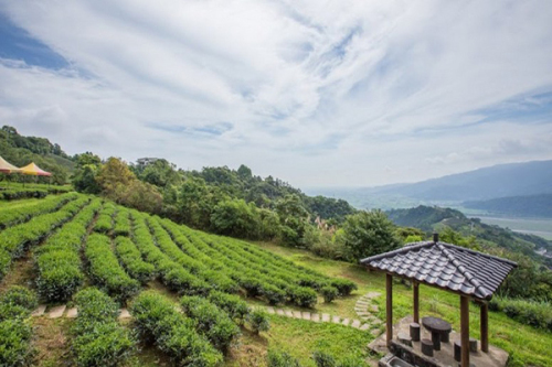 在玉蘭茶園上可一覽廣闊的蘭陽平原與溪谷 (圖片來源／行政院農委會)