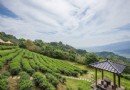 宜蘭必訪絕美景點 玉蘭休閒農業園區帶來360度視野盡收眼底