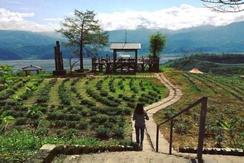 玉蘭茶園采自助式泡茶，在欣賞美景的同時，可以為自己沏一壺好茶 (圖片提供／IG：patrickhsieh)