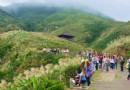 【賞花之旅】芒舞貢寮，來場深秋農游小旅行！