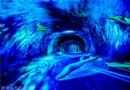 [宜蘭南方澳景點] 全台首創360度3D魚龍捲彩繪