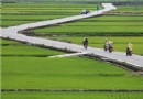 縱谷自行車野餐日，10月沐浴在花東縱谷美景中！