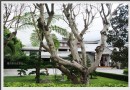 謝謝你帶我走進靜思精捨〖拾伍日，隨心隨性走台灣〗