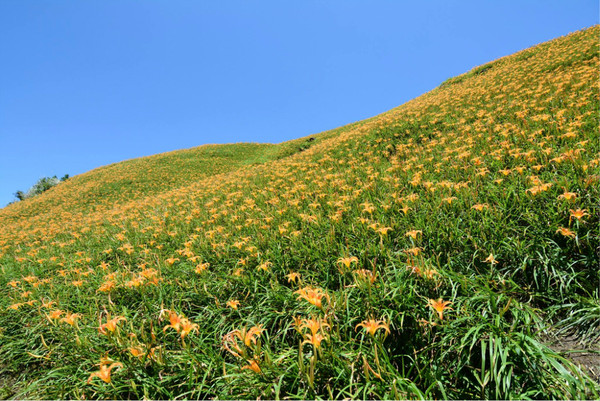 花蓮旅游攻略圖片