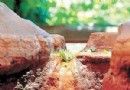 花蓮冬季泡湯趣 三大溫泉任你挑