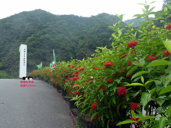 台灣旅游攻略圖片