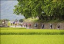 花蓮單車10大車道賞好山好水