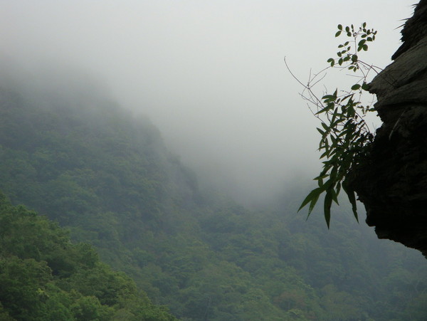 花蓮旅游攻略圖片