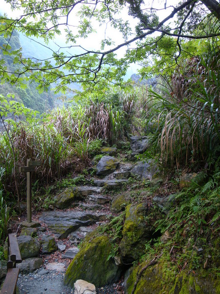 花蓮旅游攻略圖片