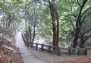 白鹿洞