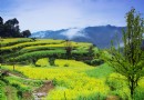 查平坦村