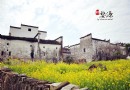 思溪延村