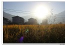 何源村