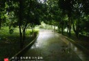 鷹潭公園