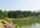 南湖公園