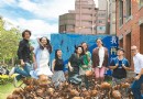 好多螞蟻！新竹“當代新銳藝術展”只到10月底！
