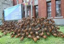 《我‧再新竹：當代新銳藝術展》在新竹市美術館