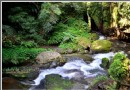 【新竹】四季宜人的清涼步徑--水濂洞步道.水濂橋步道