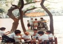 傳承40年好滋味 竹塹古早味清冰