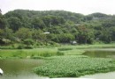 新竹景點全攻略（10）--青草湖