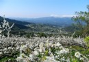最壯觀的賞楓秘境 苗栗泰雅馬拉邦聖山居高臨下